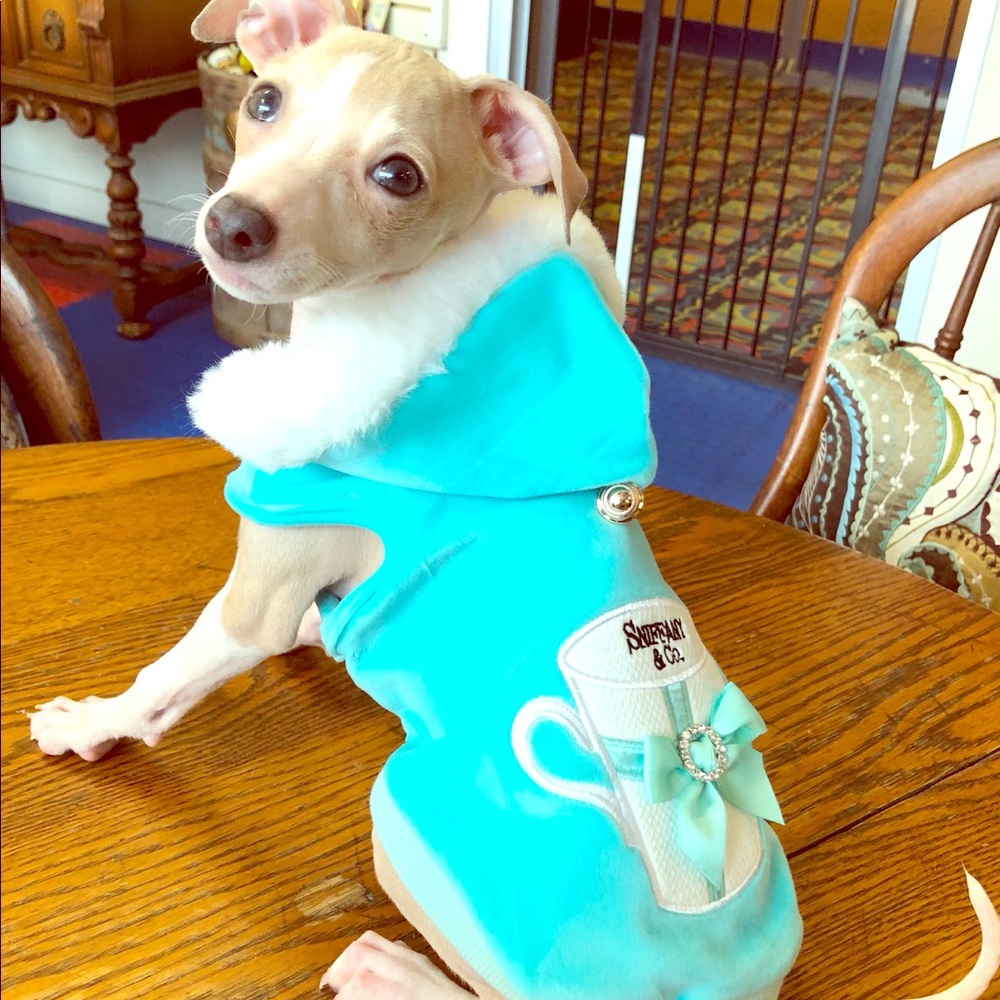 Sniffany dog hoodie